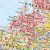 Europa mapa ścienna kody pocztowe, 1:3 000 000